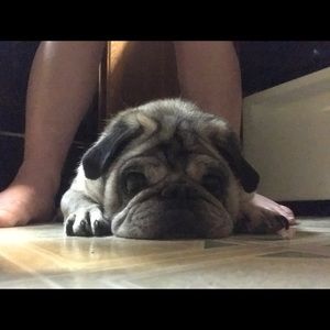 Meet your Posher, Heidi